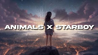 Animals x StarBoy (Lyrics Video Slowed + Reverb)