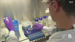 Celebrity Are COVID-19 antibody tests accurate, worth taking? Net Worth