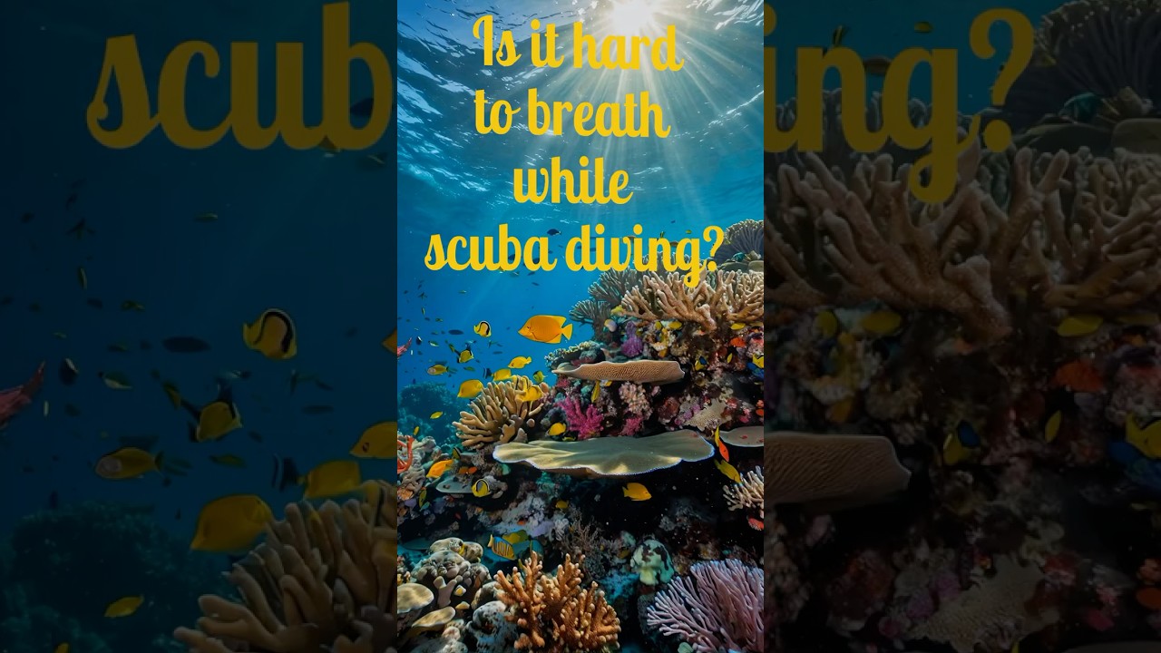 Breathing Underwater Difficult? | Talk to the Fish 