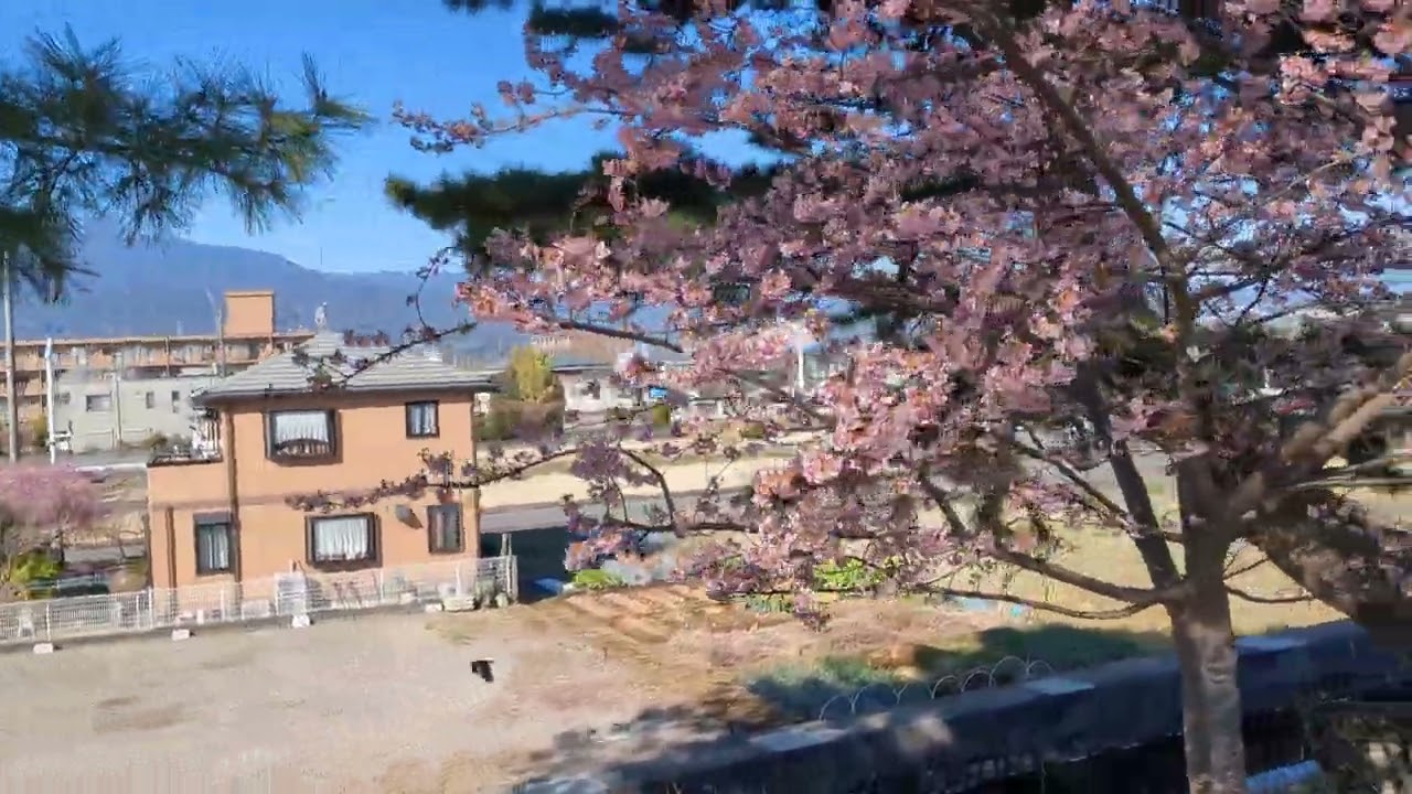 絶景！富士山！小田原酒匂川から撮影