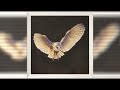 [FREE] "Redlight" | Westwood Type Beat [Prod. Rosta]