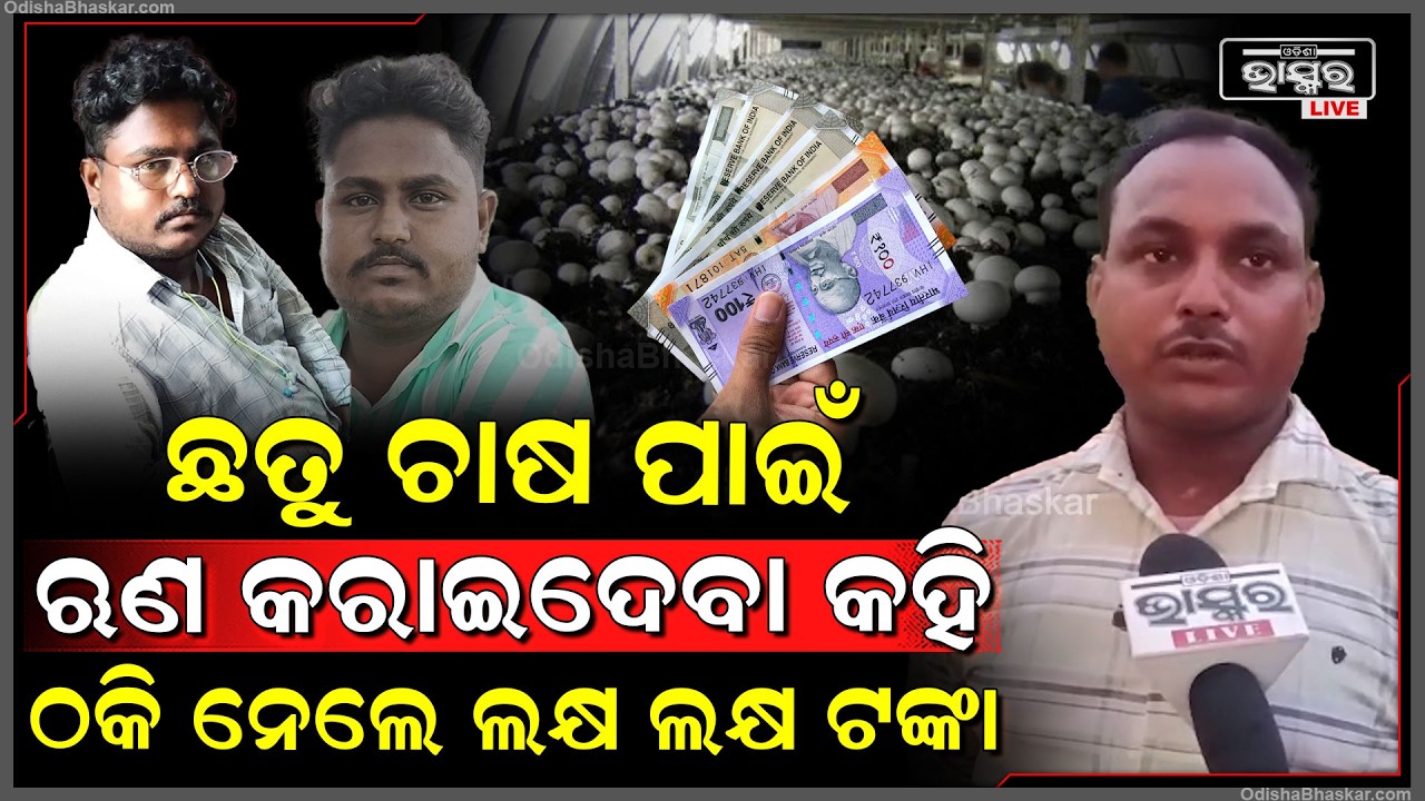 ଛତୁ ଚାଷ ପାଇଁ ଲୋନ କରାଇଦେବା କହି ୩ଲକ୍ଷ ୭୦ ହଜାର ଟଙ୍କା ଠକି ନେଲେ ଦୁଇ ଯୁବକ ଟଙ୍କା ମାଗିଲେ ଦେଉଛନ୍ତି ଧମକ