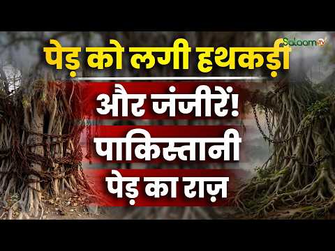 Pakistan Arrested Tree : पेड़ को लगी हथकड़ी और जंजीरें! Pakistan के Arrested Banyan Tree का राज़
