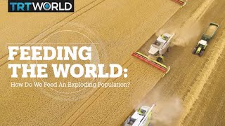 Feeding the world: How do we feed an exploding population?