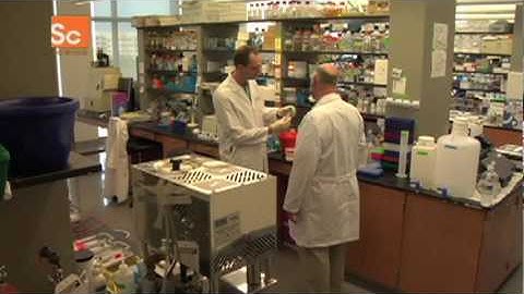 Synthetic Life Breakthrough