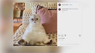Taylor Swift, Oprah Winfrey's pets among top richest in the world