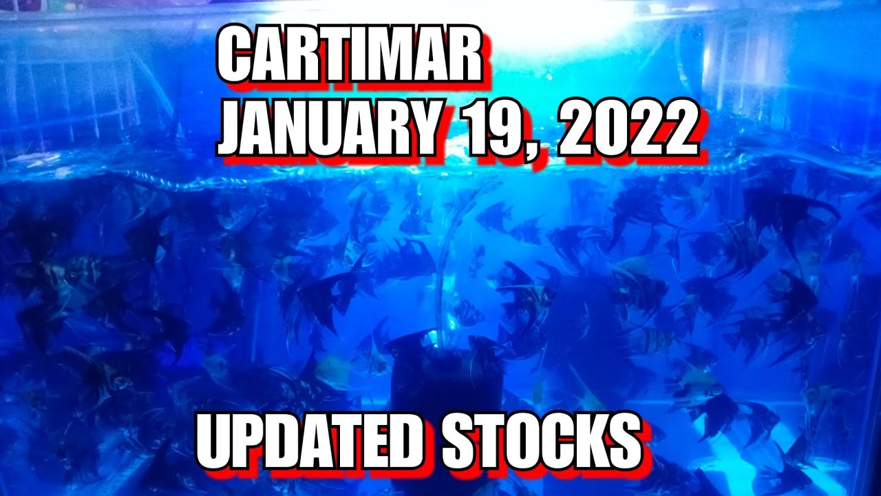 CARTIMAR UPDATED STOCKS JANUARY 19, 2022 ❤❤❤