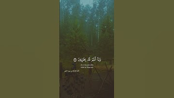 سوره الحجر||من الايه ٢٢-٢٣||القارئ هزاع البلوشي