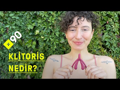 Klitoris nedir? I \
