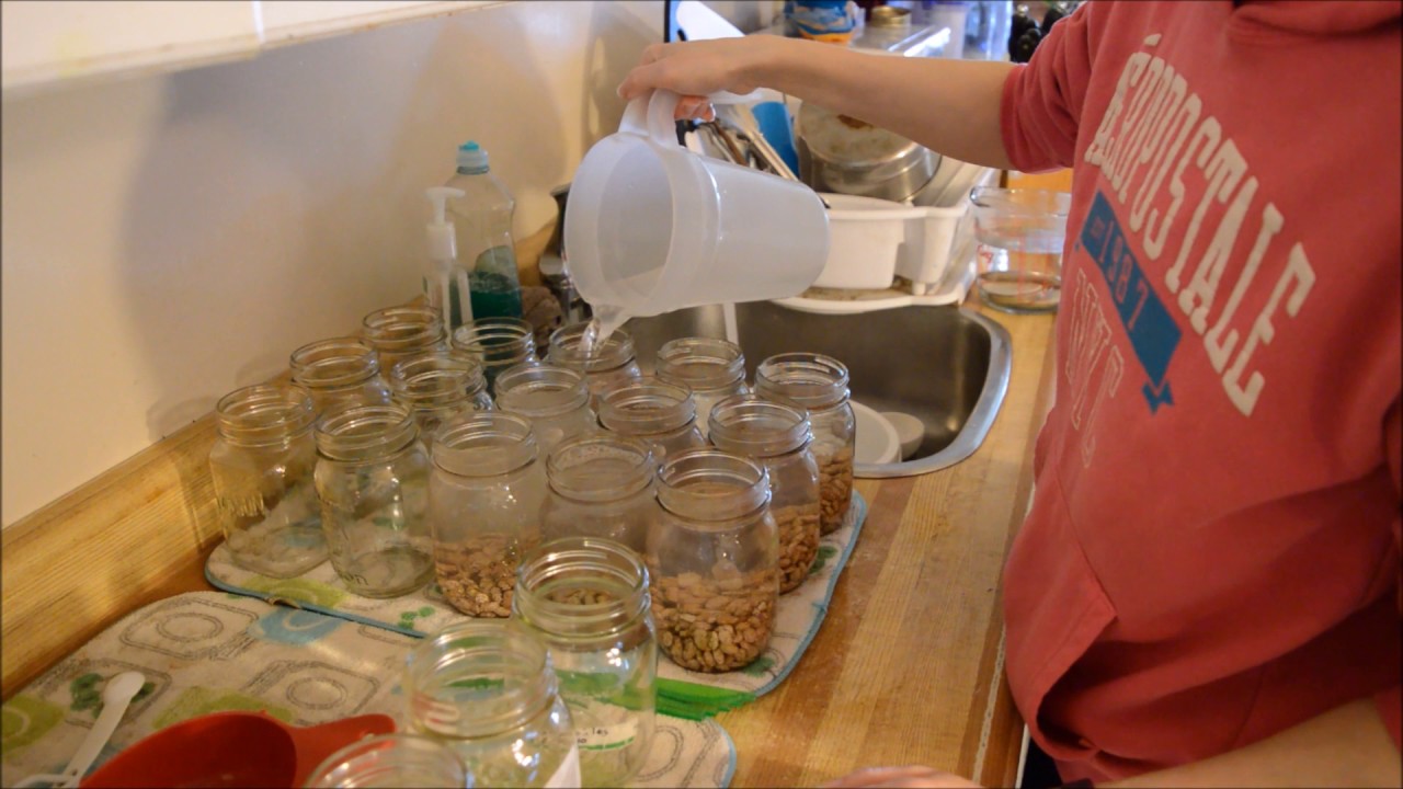 Canning pinto beans ( no soak method) - YouTube