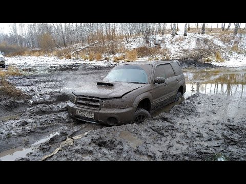 Жёсткое испытание subaru forester. Offroad на любимом болоте.