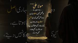 Dhoka Dene Walo Ke Liye Mola Ali Ka Qoul🩷 #karbala #iran #reels  #MolaAli#HazratAliQuotes#allah