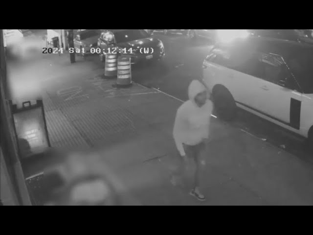 Man Wanted For Attempted Rape In Queens Subway Station Nypd