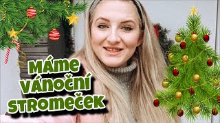 MÁME VÁNOČNÍ STROMEČEK!! 🎄| VLOGMAS #11 ✨| VÁNOCE 2020🎄🎁