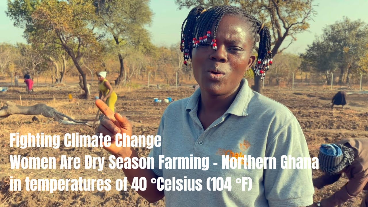 Funsi, Northern Ghana: Dry Season Farming and Irrigation Project - YouTube