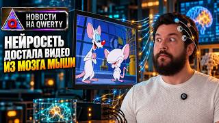 Видео прямо из мозга. Мыши с человеческими нейронами. Идеальная (почти) смазка. Новости QWERTY №385