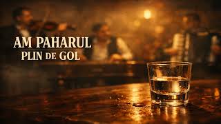 Am paharul plin de gol – Lăutărească fină de pahar | BTune Mix