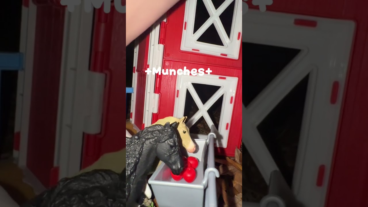 Horse riders! Ep. 1, Arena Day!🐎 