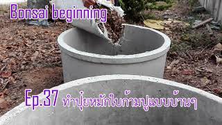 Bonsai beginning Ep.37 ทำปุ๋ยหมักใบก้ามปูแบบบ้านๆครับ