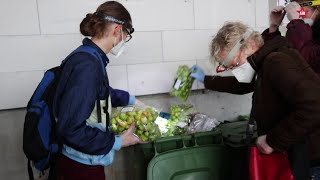 Gegen Lebensmittelverschwendung – Containern trotz Illegalität