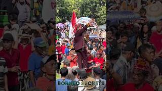 Tradisi Dayak, Minum Dari Tanduk Kerbau #shorts #dayak #kalimantantengah #baritoselatan