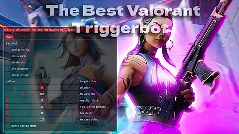 The Best Valorant TriggerBot 2025 Undetected 🎯(4$)