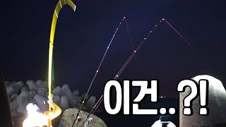 테트라와 테트라 사이!! 이런곳엔 어떤 물고기가 잡힐까???(feat.자급자족 먹방)