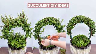 Creative DIY Succulent Decoration Ideas You Need To Try! 🪵🌵