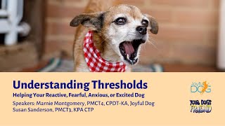 Understanding Thresholds: Helping Your Reactive, Fearful, Anxious, or Excited Dog