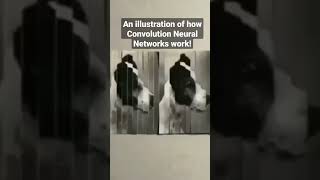 An illustration of how Convolution Neural Networks work #machinelearning #deeplearning