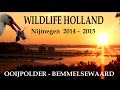 WILDLIFE HOLLAND 1 - Ooijpolder & Bemmelse Waard 2014 - 2015 - JEROWORLD