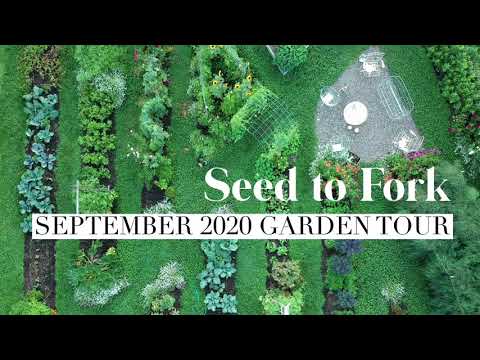 September 2020 Garden