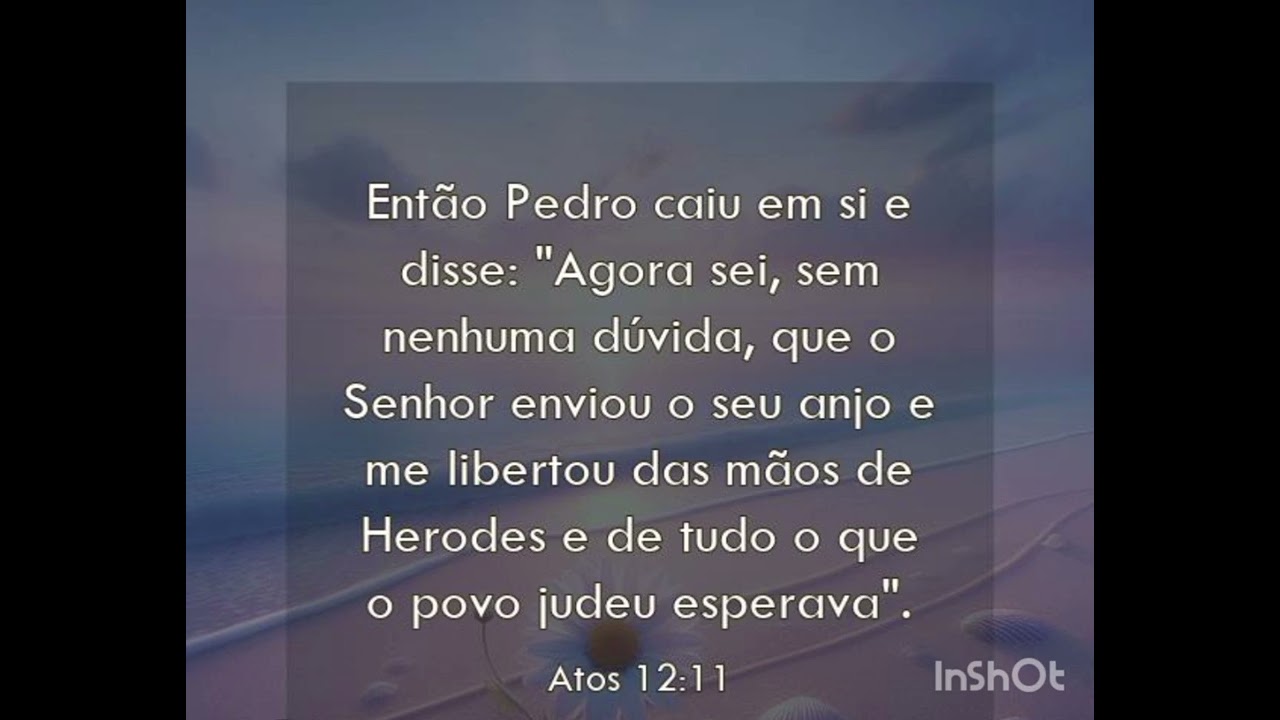 Plante Fé e Colha Milagres 