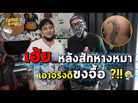 เฮ้ย...หลังสักหางหมา เอาจริงดิขงจื้อ ?!! | Tattoo Brothers สักแต่พูด