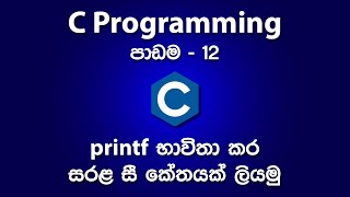Simple Exercise for Output Statements Using Printf Function in C Programming | පාඩම - 12