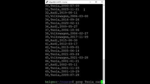 Use command grep to search for specific words in a file short video version #linux #shorts