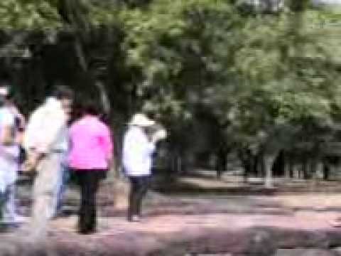 ผมยาวมาก2006