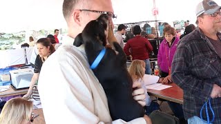Meet Your Best Friend at the Zoo - Fall 2014