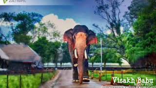 Vandodi padi vilayum what's app status