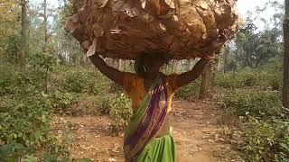 Couple Vlog Love Marriage Couple Vlogs Sila