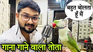 गाना भी गाता है ये तोता  बोलता भी है| #talkingparrot #bolnewalatota #animallover #petslover #birds