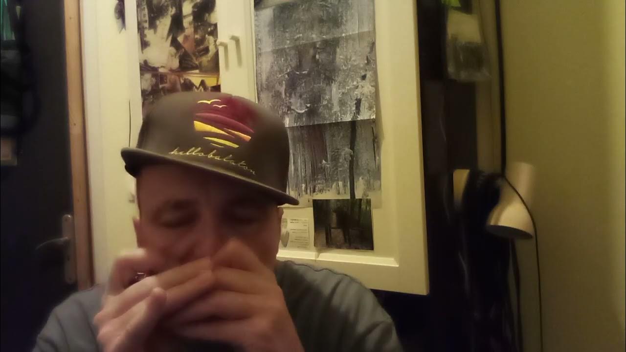 beatbox harmonica L O D natural minor and Low F major , trial YouTube