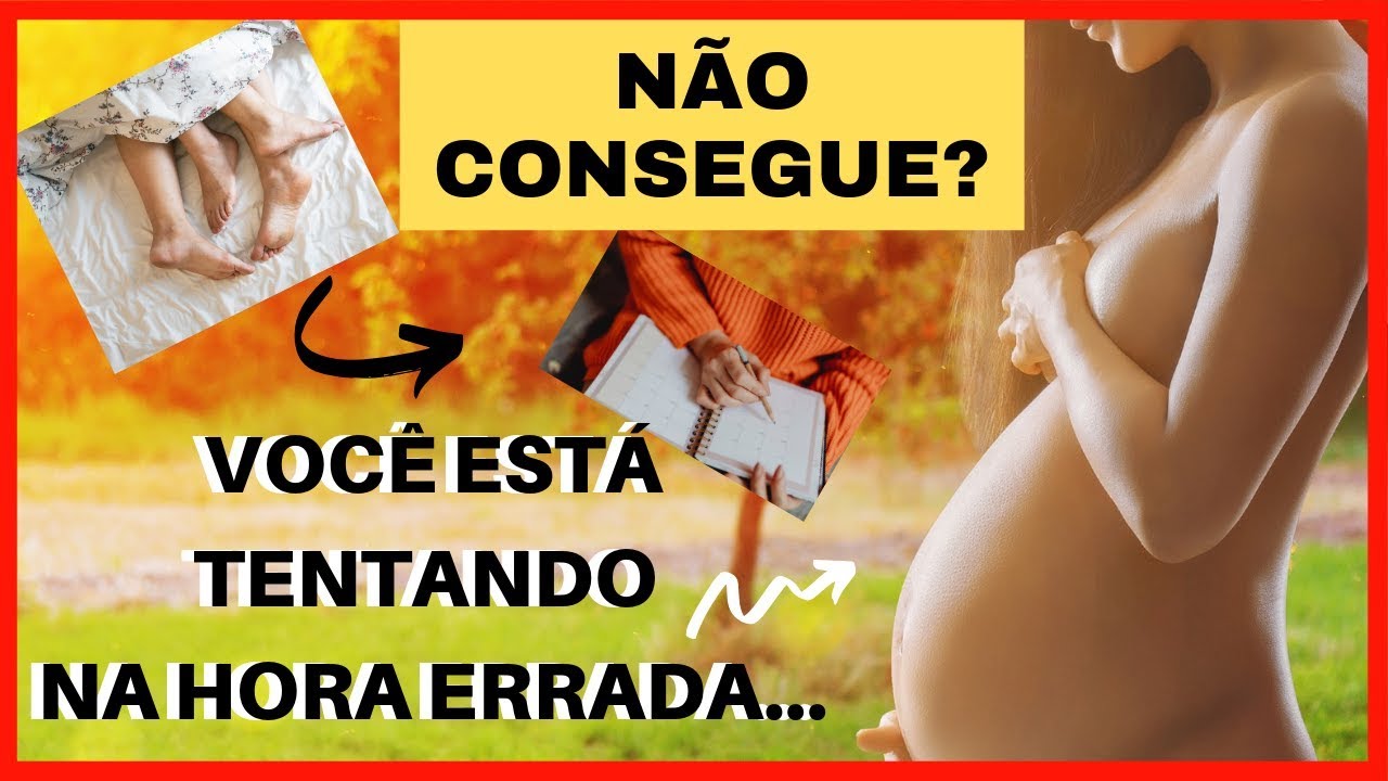 Quem Tem Muito Hormônio Pode Engravidar 5 Dicas de COMO ENGRAVIDAR MAIS RÁPIDO Que Você NÃO CONHECIA! - YouTube
