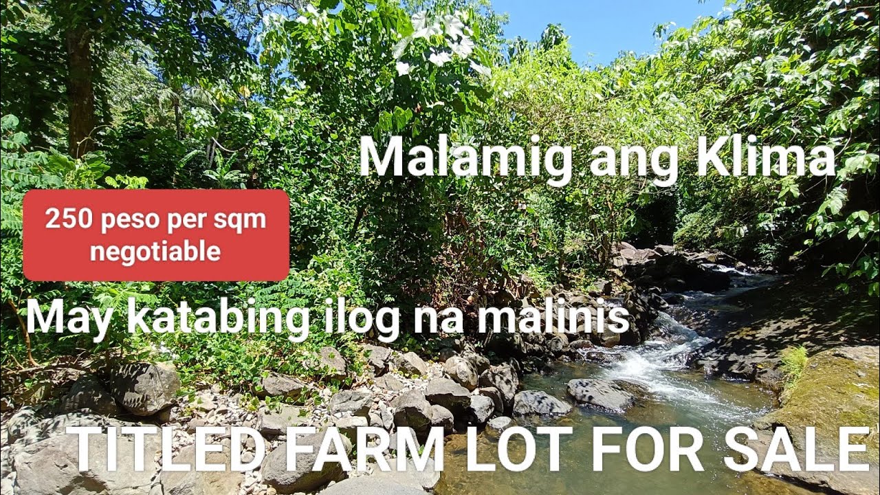 #Vlog318 FARM LOT TITLED FOR SALE 250/sqm NEGOTIABLE, IDEAL FOR CAMPING SITE & FARM RESORT