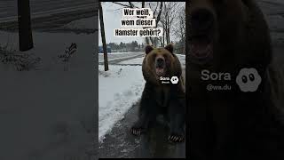 Ein Bär kam direkt auf mich zu… 🐻❄️#bär#wildtier#naturdoku#realistisch#unglaublich#wald#winter