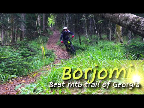 ვლოგი #2 ბორჯომის ველობილიკი/VLOG #2 Borjomi mtb trail