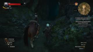 THE WITCHER 3   CAT SCHOOL GEAR DIAGRAMS PART 2   STEEL SWORD