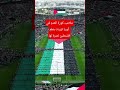 حتى ملاعب كورة القدم في أوربا تزينت بعلم فلسطين نصرة لها ولأهل غزة غزة