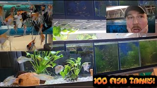 Huge Tropical Fish Room Tour March 2023