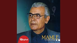 Gadar 4 - Mamlê